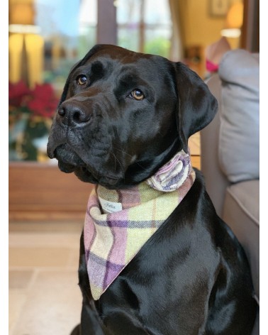 Hundehalstuch - Gargrave Lilac Hettie geschenkidee schweiz kaufen