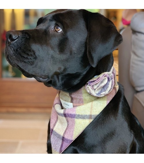 Bandana pour chien - Gargrave Lilac Hettie Accessoires de mode pour chien design suisse original