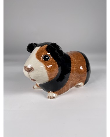 Piggy Bank - Guinea Pig Quail Ceramics money box ceramic