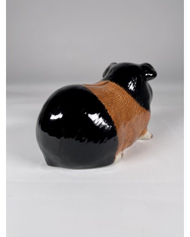 Piggy Bank - Guinea Pig Quail Ceramics money box ceramic