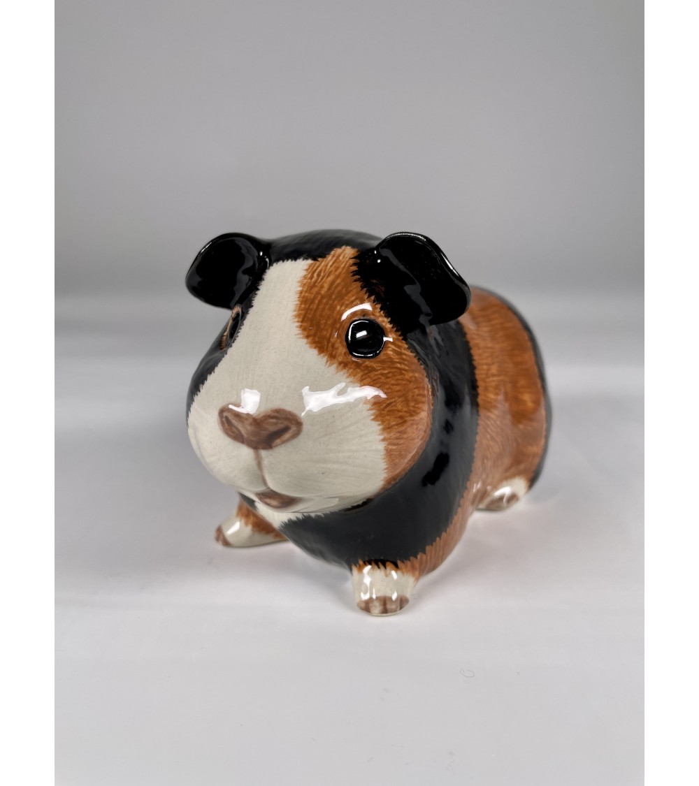 Guinea pig sale money box