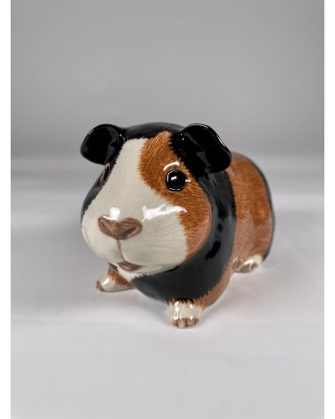Piggy Bank - Guinea Pig Quail Ceramics money box ceramic