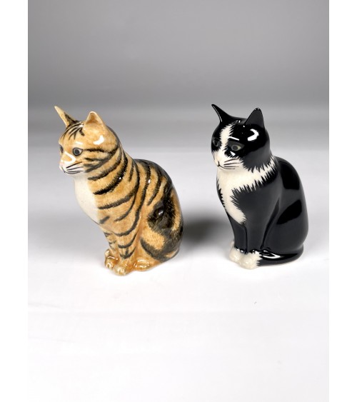 Reuben & Sparkly - Salt and pepper shaker Cat Quail Ceramics pots set shaker cute unique cool
