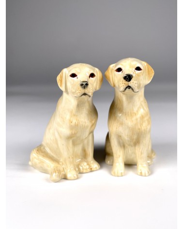 Golden Labrador - Salt and pepper shaker Quail Ceramics pots set shaker cute unique cool