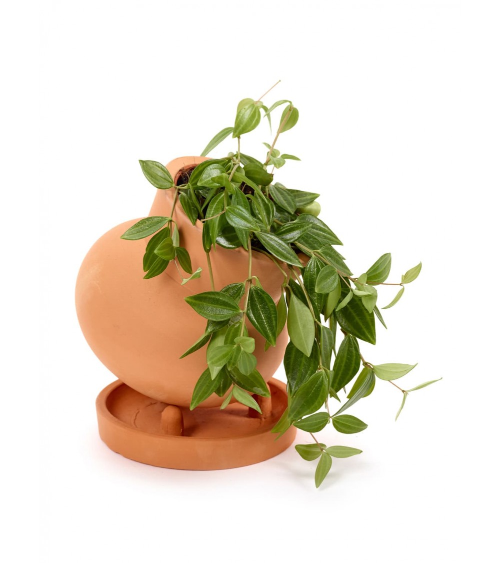 Flower pot - Terracotta by René Barba Serax Flower pots design switzerland original