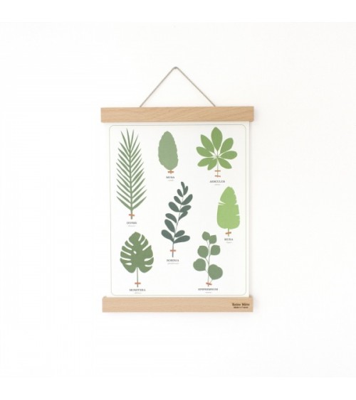 Listello porta poster in legno - Tasseau Reine Mère