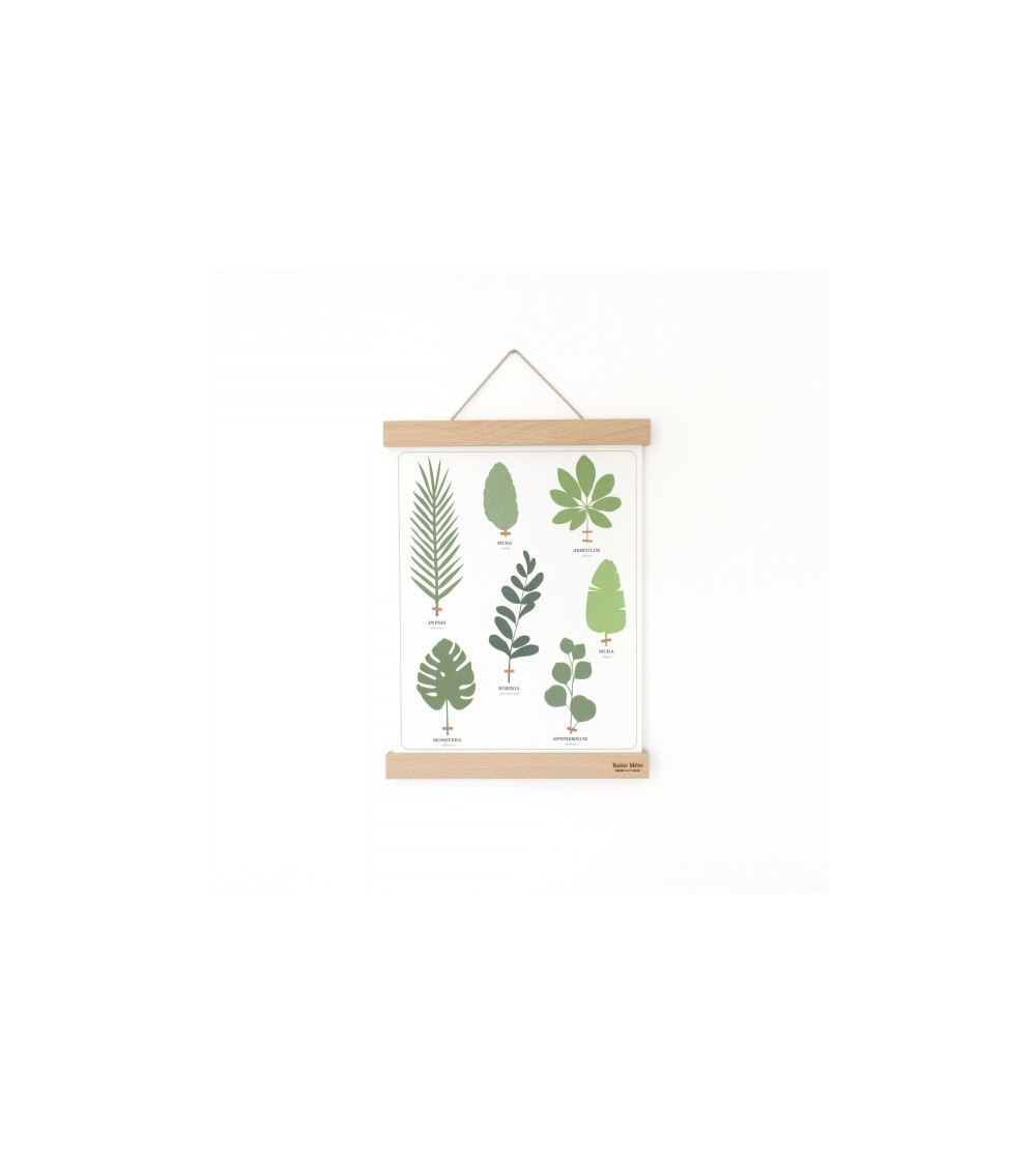 Tasseau - Wooden Magnetic Poster Hanger Reine Mère