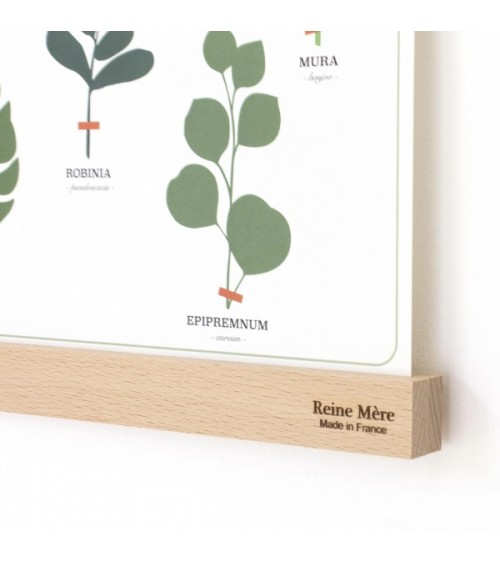 Listello porta poster in legno - Tasseau Reine Mère