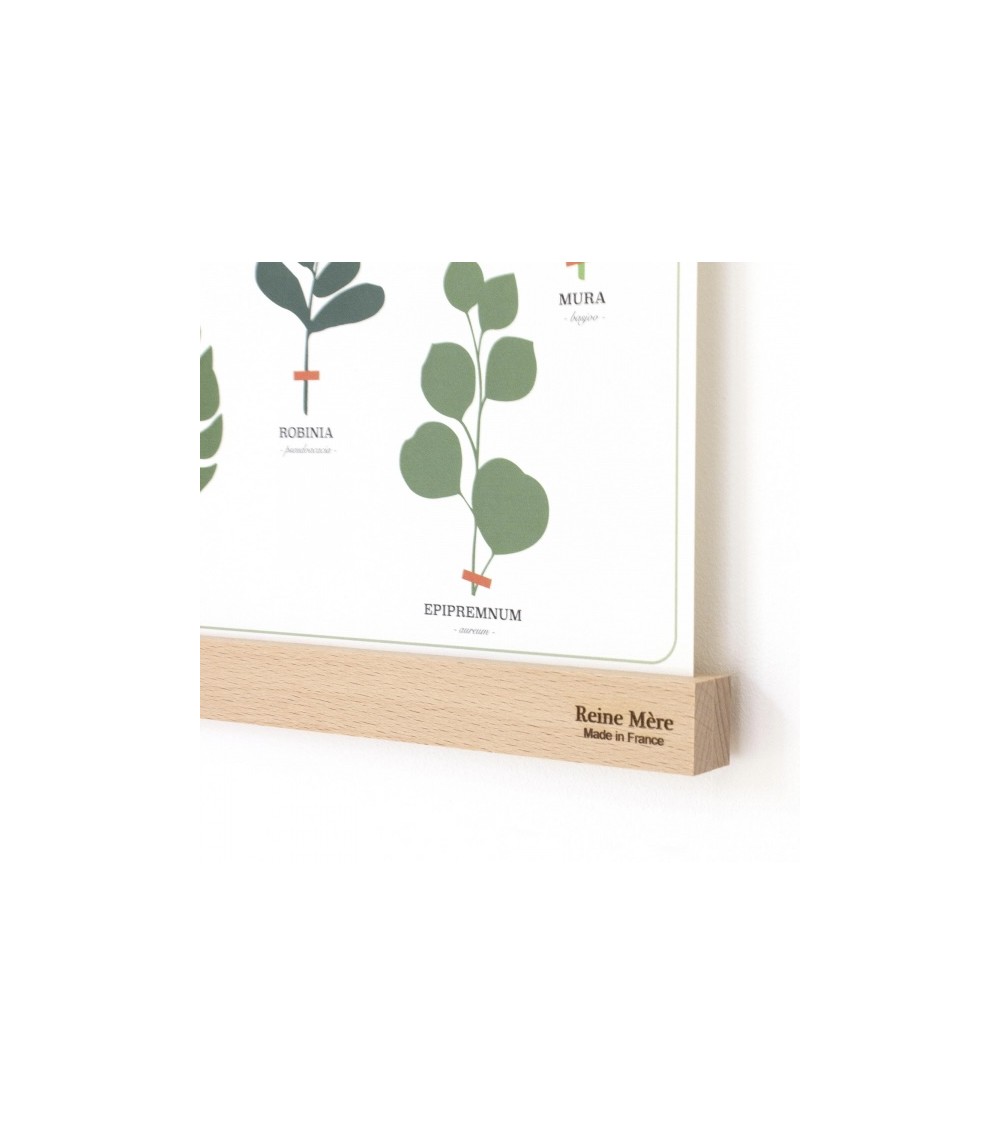 Tasseau - Wooden Magnetic Poster Hanger Reine Mère