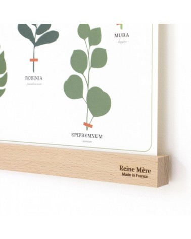 Listello porta poster in legno - Tasseau Reine Mère