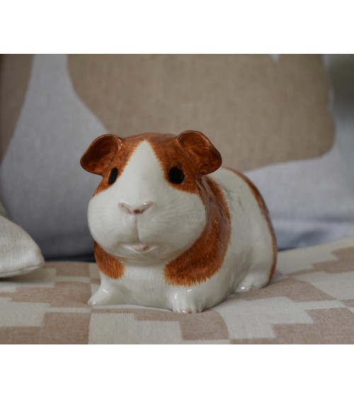 Piggy Bank - Guinea Pig Quail Ceramics money box ceramic