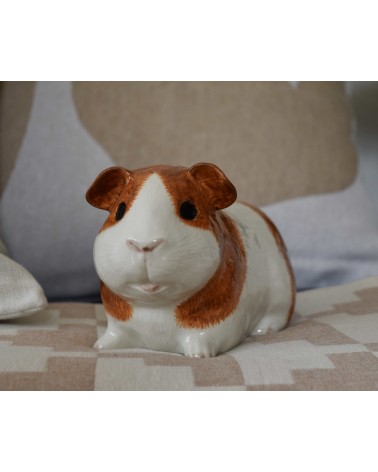 Piggy Bank - Guinea Pig Quail Ceramics money box ceramic