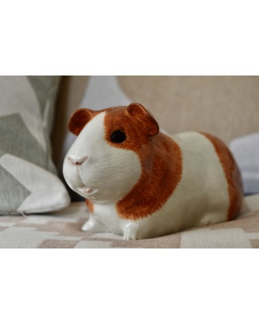 Piggy Bank - Guinea Pig Quail Ceramics money box ceramic