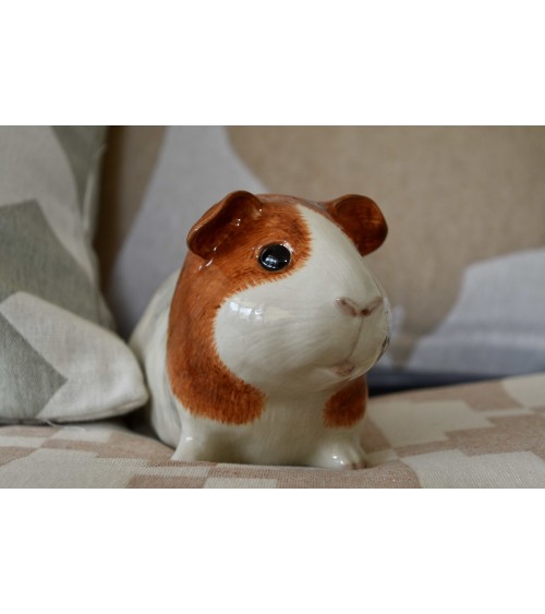 Piggy Bank - Guinea Pig Quail Ceramics money box ceramic