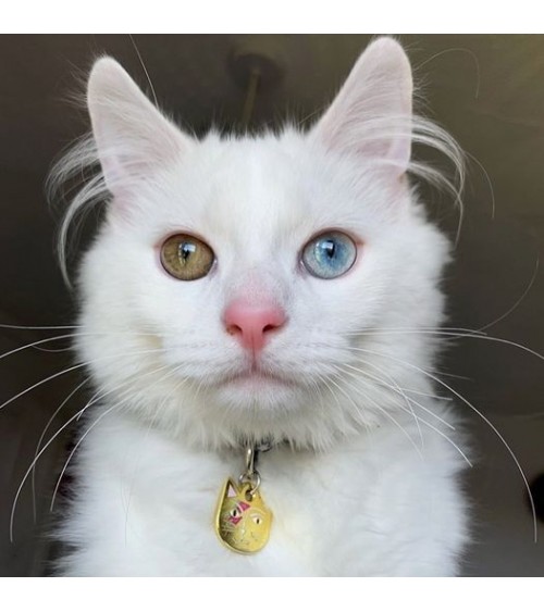 Cat Collar - Kitty Stardust Niaski Cat Collar design switzerland original