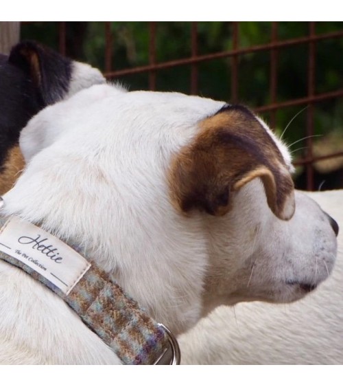 Dog Collar - Loch Heather Hettie Dog Collar and Harness design switzerland original