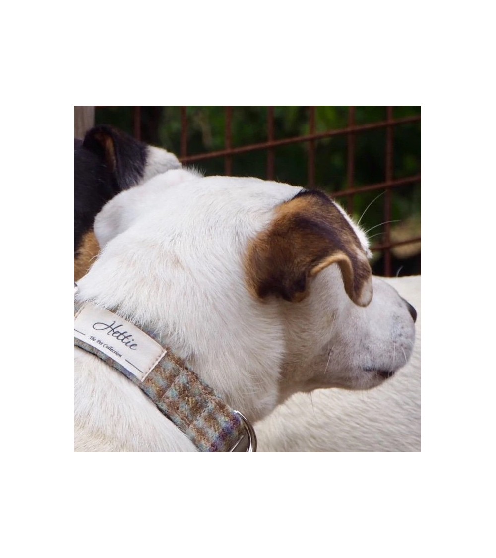 Dog Collar - Loch Heather Hettie original gift idea switzerland