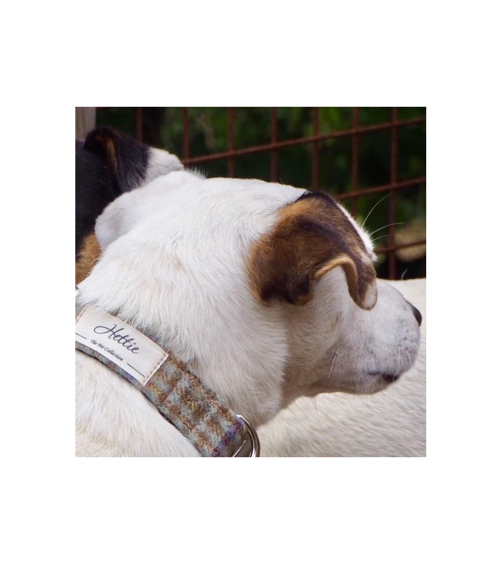 Collare per Cani - Loch Heather Hettie idea regalo svizzera