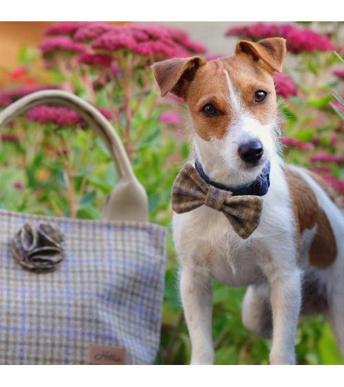 Dog Bowtie - Loch Heather Hettie Dog Fashion Accessories design switzerland original
