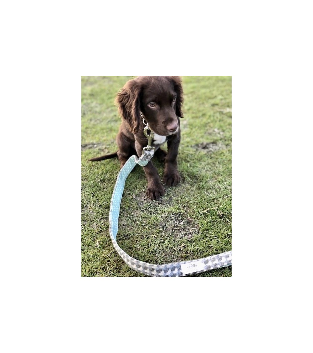 Dog Lead - Holborn Taupe Hettie original gift idea switzerland