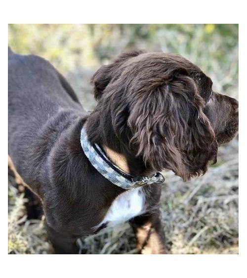 Collare per Cani - Holborn Taupe Hettie Collare e Imbracatura per Cani design svizzera originale