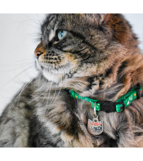 Collier pour Chat - Frida Catlo Niaski idée cadeau original suisse