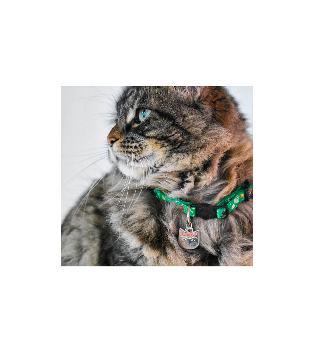 Frida Catlo Artist Cat Collar By Niaski