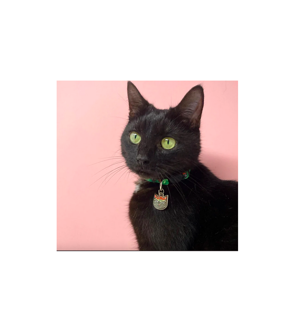 Collier pour Chat - Frida Catlo Niaski idée cadeau original suisse