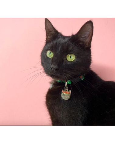 Katzenhalsband - Frida Catlo Niaski geschenkidee schweiz kaufen