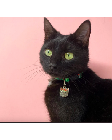 Cat Collar - Frida Catlo Niaski original gift idea switzerland