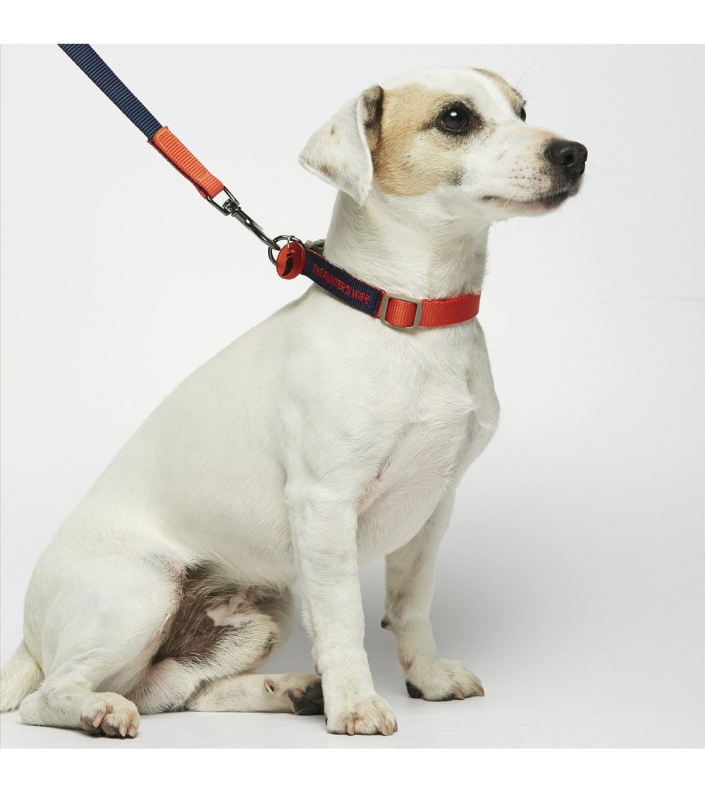 Collier pour chien - Sonia - Vermillon et Marine The Painter's Wife idée cadeau original suisse