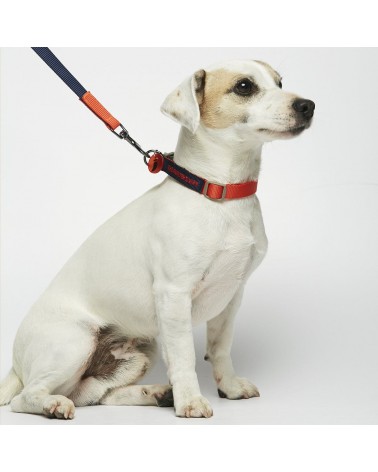 Dog Collar - Sonia - Vermilion and Navy The Painter's Wife original gift idea switzerland