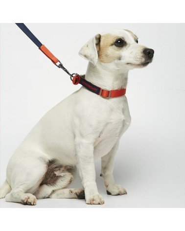 Collier pour chien - Sonia - Vermillon et Marine The Painter's Wife idée cadeau original suisse