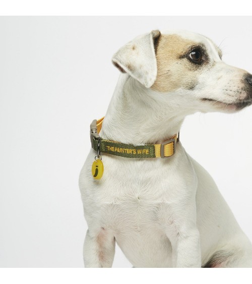 Collare per Cani - Sonia - Mimosa e Muschio The Painter's Wife Collare e Imbracatura per Cani design svizzera originale