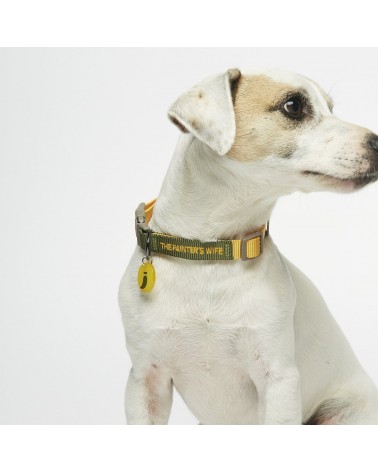 Hundehalsband - Sonia - Mimose und Moos The Painter's Wife geschenkidee schweiz kaufen