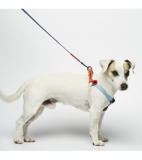 Dog Harness - Sonia - Vermilion and Cherry The Painter's Wife original gift idea switzerland