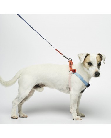 Hundegeschirre - Sonia - Zinnoberrot und Kirsche The Painter's Wife geschenkidee schweiz kaufen