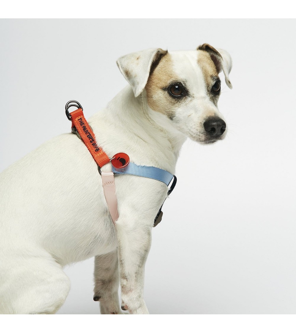 Dog Harness - Sonia - Vermilion and Cherry The Painter's Wife original gift idea switzerland