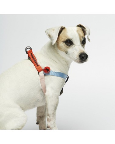 Hundegeschirre - Sonia - Zinnoberrot und Kirsche The Painter's Wife geschenkidee schweiz kaufen