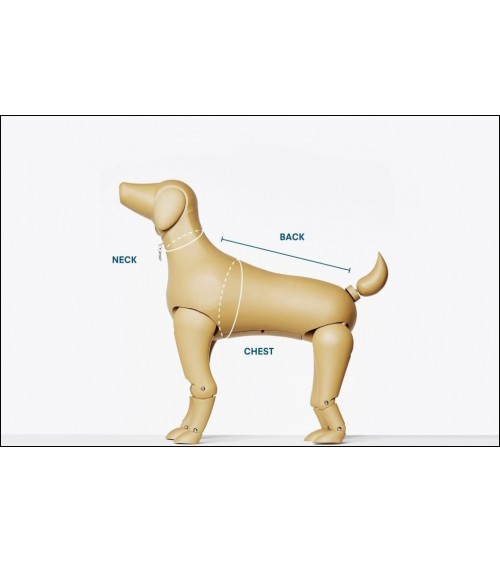 Imbracatura per cani - Sonia - Mimosa e Muschio The Painter's Wife idea regalo svizzera