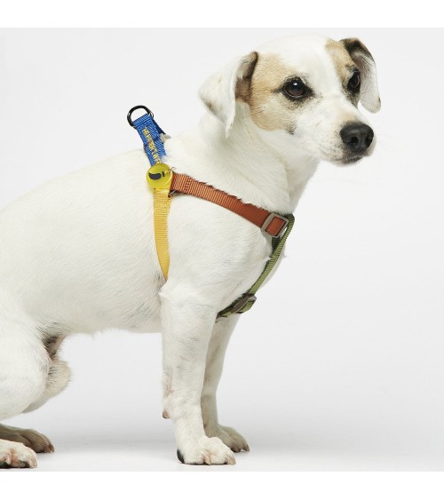 Imbracatura per cani - Sonia - Mimosa e Muschio The Painter's Wife Collare e Imbracatura per Cani design svizzera originale