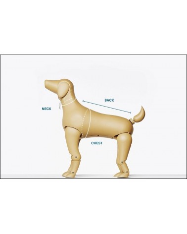 Dog Harness - Sonia - Yellow and Lime The Painter's Wife original gift idea switzerland