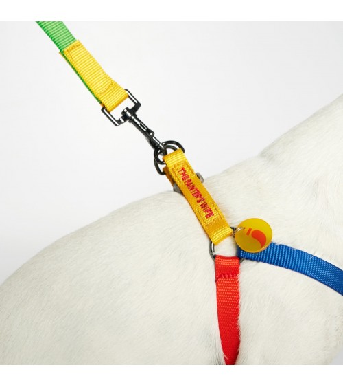 Dog Harness - Sonia - Yellow and Lime The Painter's Wife original gift idea switzerland