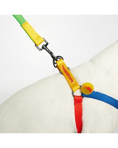 Dog Harness - Sonia - Yellow and Lime The Painter's Wife original gift idea switzerland