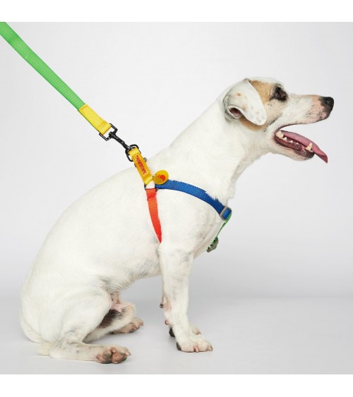 Dog Harness - Sonia - Yellow and Lime The Painter's Wife original gift idea switzerland