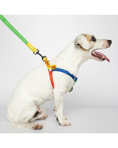 Dog Harness - Sonia - Yellow and Lime The Painter's Wife original gift idea switzerland