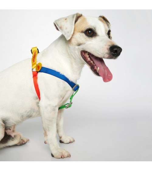 Hundegeschirre - Sonia - Gelb und Limette The Painter's Wife geschenkidee schweiz kaufen
