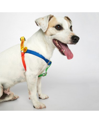 Dog Harness - Sonia - Yellow and Lime The Painter's Wife original gift idea switzerland