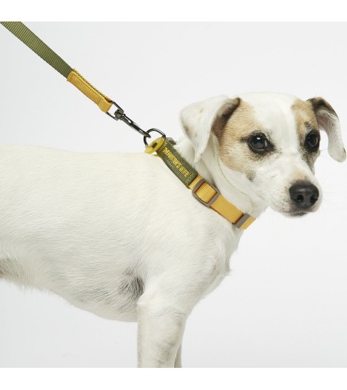 Dog Lead - Sonia - Mimosa and Moss The Painter's Wife original gift idea switzerland