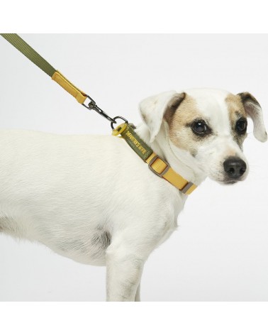Dog Lead - Sonia - Mimosa and Moss The Painter's Wife original gift idea switzerland